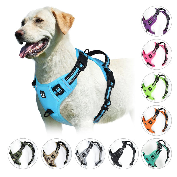 CalmGear Dog Harness